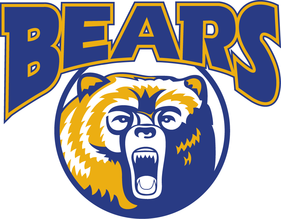 Northern Colorado Bears 1998-2002 Primary Logo diy DTF decal sticker